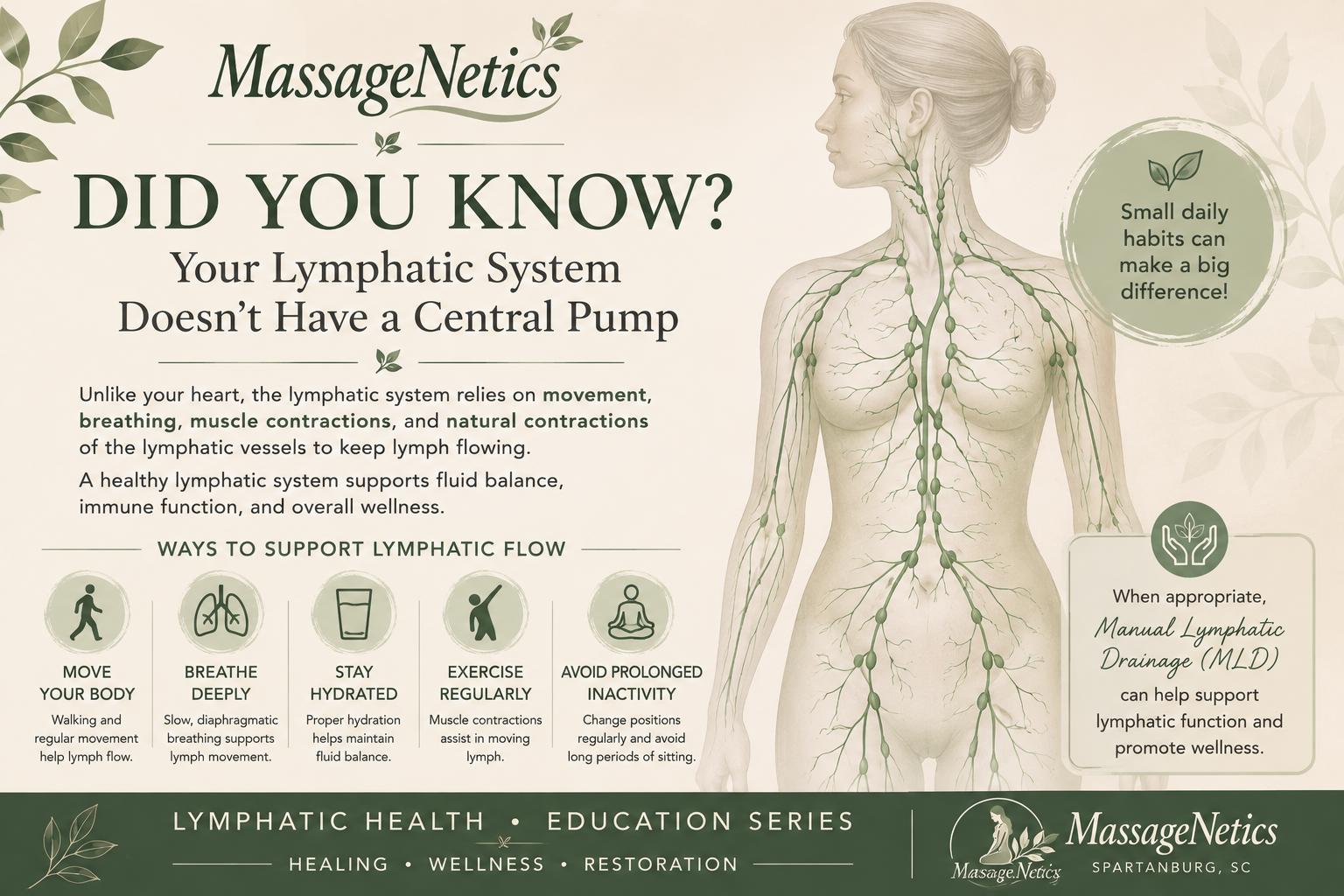 How the Lymphatic System Works | MassageNetics Spartanburg